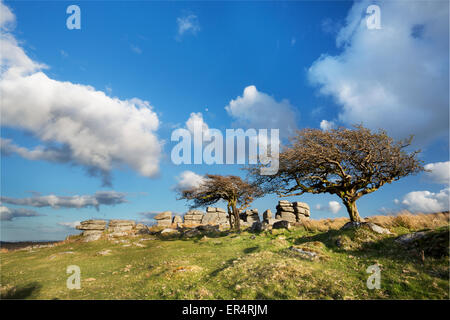 Combestone Tor nel Parco Nazionale di Dartmoor, Devon, Regno Unito Foto Stock