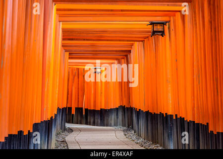 Fushimi Inari torii gates a Kyoto, in Giappone. Foto Stock