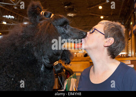 Proprietario baciare il barboncino standard. Crufts 2014 al NEC di Birmingham, Regno Unito. 8th marzo 2014 Foto Stock