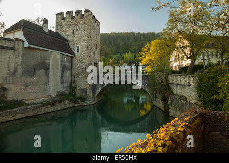 La molla nel pomeriggio Zwingen, canton Basel-Country, Svizzera. Foto Stock