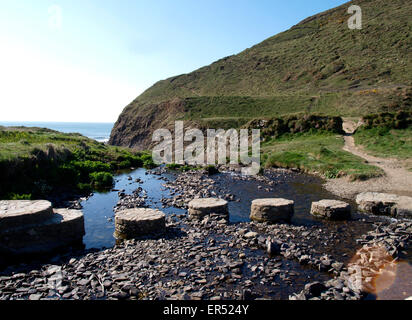 Pietre miliari sul fiume, Welcombe bocca, Devon, Regno Unito Foto Stock