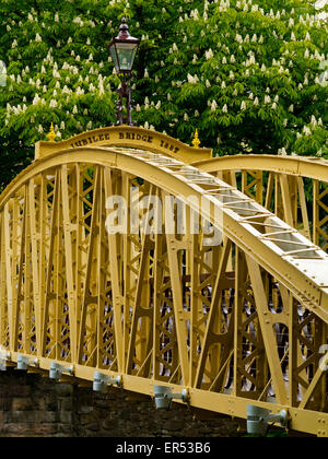 Ponte del Giubileo un metallo vittoriano passerella sul fiume Derwent in bagno Malock Derbyshire Dales Peak District Inghilterra REGNO UNITO Foto Stock