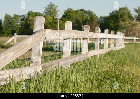 Un vecchio recinto in legno e da un campo di fieno su New Hampshire farm. Foto Stock