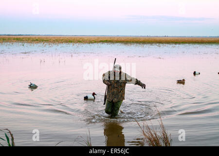 Un cacciatore di anatre wades attraverso un lago d'inverno. Foto Stock