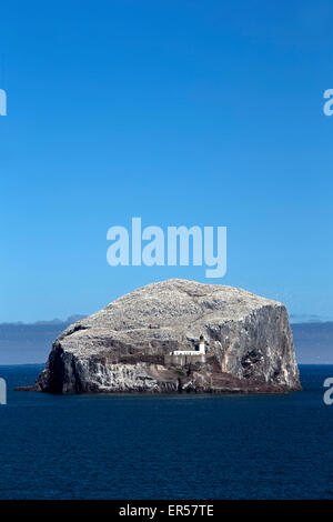 Una vista diurna dal mare dell'isola di Bass Rock vicino a North Berwick in Firth of Forth mostrante la nidificazione sule Foto Stock