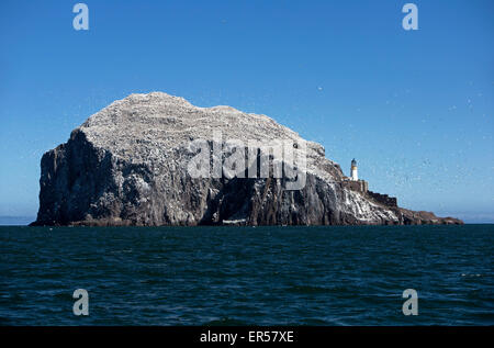 Una vista diurna dal mare dell'isola di Bass Rock vicino a North Berwick in Firth of Forth mostrante la nidificazione sule Foto Stock