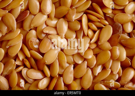 flax seed Foto Stock