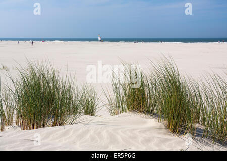 Dune in spiaggia, Juist isola, mare del Nord est delle Isole Frisone, Frisia orientale, Bassa Sassonia, Germania, Europa Foto Stock
