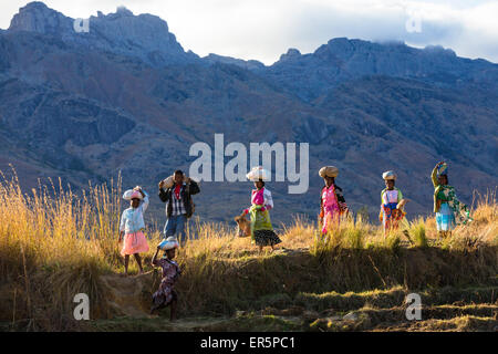 Il popolo malgascio nella valle Tsaranoro, highlands, a sud del Madagascar, Africa Foto Stock