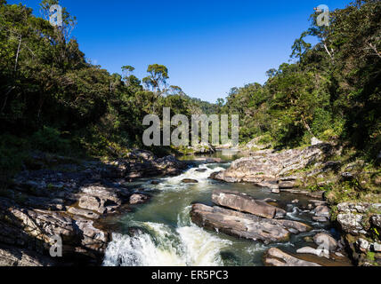 Foresta pluviale e Namorona River, Ranomafana National Park, Madagascar, Africa Foto Stock