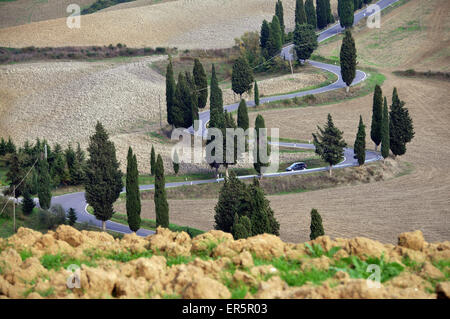 Country Road a Monticchiello vicino a Pienza, Siena, Toscana del sud, Toscana, Italia Foto Stock