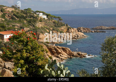 Il paesaggio costiero vicino a Giglio Porto e Giglio Porto Isola del Giglio nel Mar Tirreno, a sud della Toscana, Toscana, Italia Foto Stock