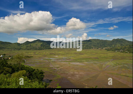 I campi di riso in forma di spider web, vicino a Ruteng, a ovest di Flores, Nusa Tenggara Est, Lesser Sunda Islands, Indonesia, Sou Foto Stock