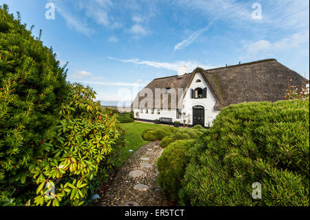 Con tetto di paglia house, Kampen, Sylt, Schleswig-Holstein, Germania Foto Stock