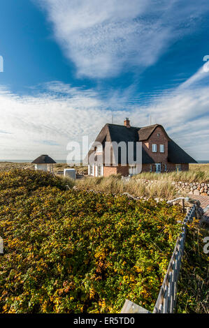 Con tetto di paglia hous nelle dune, Hoernum, Sylt, Schleswig-Holstein, Germania Foto Stock