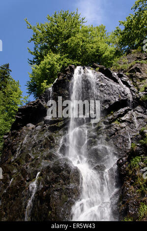 Cascata Radau, Bad Harzburg, Harz, Bassa Sassonia, Germania, Europa Foto Stock