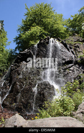 Cascata Radau, Harz, Bassa Sassonia, Germania, Europa Foto Stock