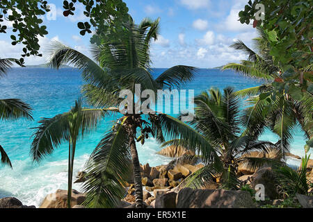 Anse Patates beach, La Digue, Seychelles, Oceano indiano, Africa Foto Stock