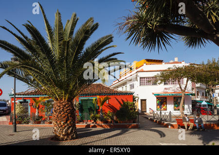 Plaza Ramon j. Figueroa, piazza del villaggio con Palm tree, Valle de Guerra, villaggio nei pressi di Tacoronte, Tenerife, Isole Canarie, Spagna Foto Stock