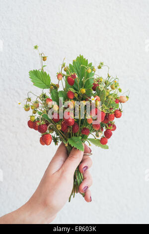 Mano azienda bouquet fatto di fragoline di bosco Foto Stock