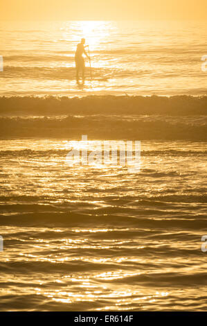 Un golden mattina sul litorale orientale della Florida al Ponte Vedra Beach come stand-up paddleboarder naviga sull'oceano si gonfia. Foto Stock