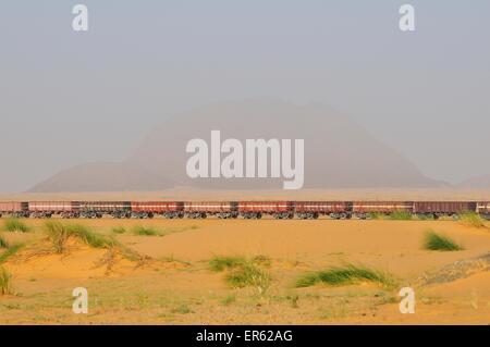 Stazione ferroviaria attraverso il deserto per il trasporto del minerale di ferro da M'Haoudat a Nouadhibou porta, regione di Adrar, Mauritania Foto Stock