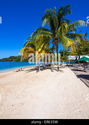 Spiaggia caraibica con palme, Erol Flynn Marina, Port Antonio, regione di Portland, Antille Maggiori, Giamaica Foto Stock