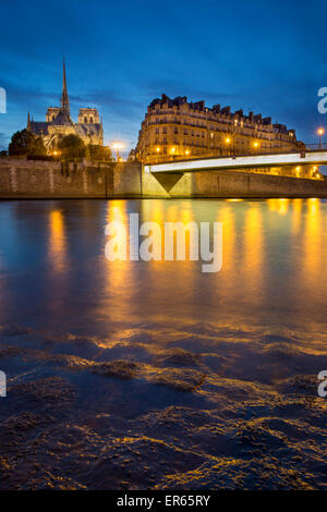 Cattedrale di Notre Dame lungo il Fiume Senna, Parigi, Francia Foto Stock