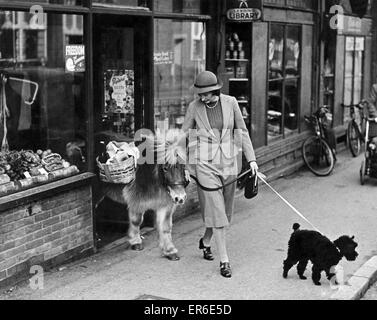 Animals-Horses-pony Shetland. Per questo merita un cavallo ridere. Shopping senza benzina è nessun problema per Miss Grizel Ballantyne, Sevenoaks, Kent. Twinkle, un bambino di sei anni pony Shetland è abbastanza piccolo per accompagnare la sua nei negozi e rende la luce del th Foto Stock