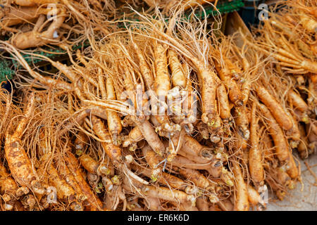 La folla di ginseng reale dal nord della Repubblica coreana Foto Stock