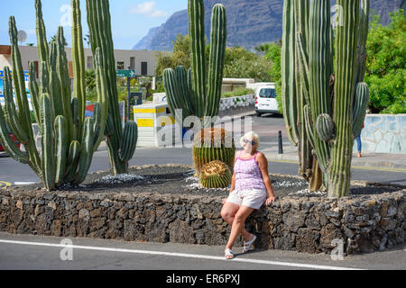 Senior lady è seduta la parete di ritegno di cactus flower-letto nell'angolo di Av. Jose Gonzales Forte e Poblado Marinero e Tama Foto Stock