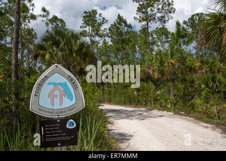 Big Cypress National Preserve, Florida - una sezione della Florida National Scenic Trail. Foto Stock