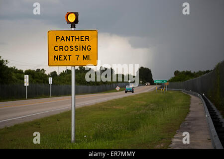 Big Cypress National Preserve, Florida - Un segno avverte gli automobilisti a guidare con attenzione per proteggere il pericolo della pantera della Florida. Foto Stock