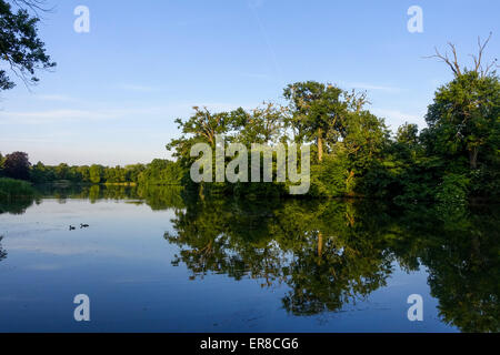 Vogelkolonie, Landschaftsgarten, UNESCO Weltkulturerbe, Lednice, Kreis Breclav Südmähren, Tschechien Foto Stock