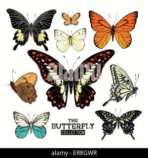 Realistico collezione di farfalle. Un set di farfalle, lavorati a mano illustrazione vettoriale.