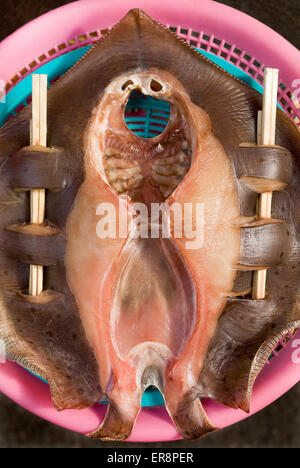 Essiccato Ray Pesci in vendita presso Jagalchi Seafood o Mercato del Pesce Busan Corea del Sud Foto Stock