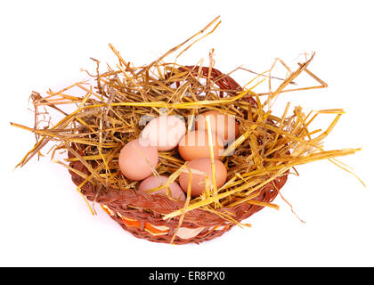 Uova di fieno nel cesto su sfondo bianco. Foto Stock