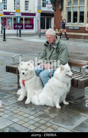 L'uomo avente un pisolino su un banco di lavoro con due cani in piazza del mercato Salisbury Wiltshire Foto Stock