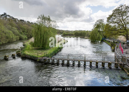 Ponte sul fiume, prova a Mayfly Riverside Pub, Fullerton, Stockbridge, Hampshire, Regno Unito. Foto Stock