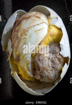 Balut Egg - una prelibatezza asiatica di Street food - un esempio dello strano o strano cibo mangiato dalle persone di tutto il mondo Foto Stock