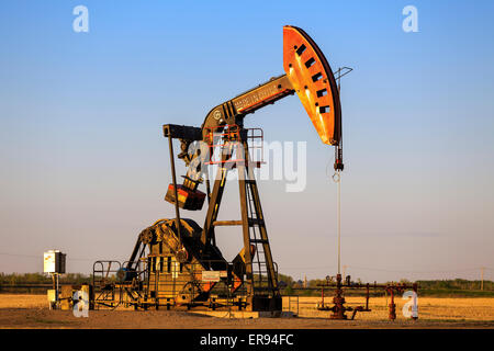 Olio pompa bene Jack in the Bakken, campo petrolifero, vicino Estevan, Saskatchewan, Canada Foto Stock
