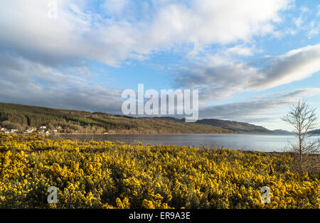 Loch Ness a Dores in Scozia. Foto Stock