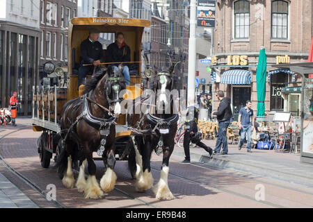 La Heineken dray cavalli tirando barili di birra lager in Amsterdam Foto Stock