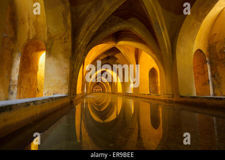 I bagni di Lady Maria di padilla serbatoio acqua piovana piscina sotto il palazzo Alcazar Siviglia Andalusia Spagna Foto Stock