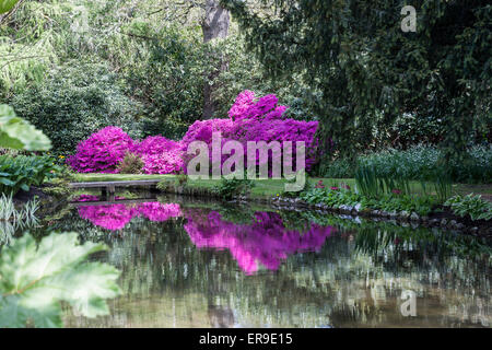 Longstock acqua parco giardino, John Lewis Leckford station wagon, Stockbridge, Hampshire, Inghilterra, Regno Unito Foto Stock