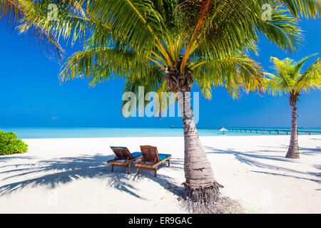 Sedie a sdraio sotto umrellas e palme su una spiaggia tropicale Foto Stock