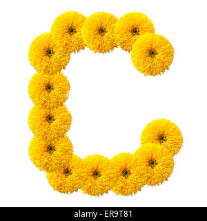 Lettera dell alfabeto di fiori isolati su sfondo bianco Foto Stock