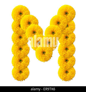 Lettera dell alfabeto di fiori isolati su sfondo bianco Foto Stock