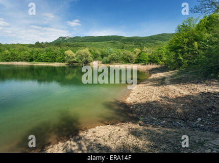 Il lago nella foresta. Giornata di sole. Estate in montagna in Crimea Foto Stock