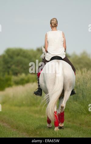 La donna corse di cavalli andalusi Foto Stock